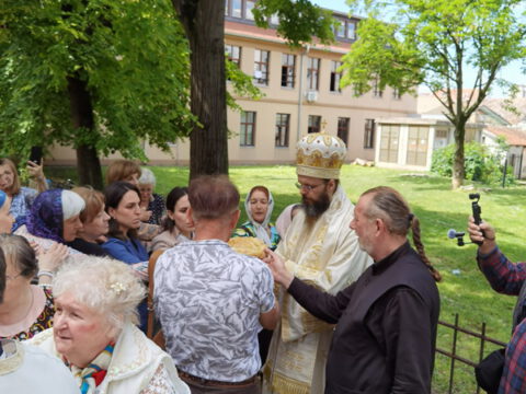 IMG_20240522_110438_resize