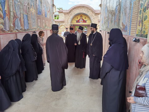 IMG_20240530_123323_resize