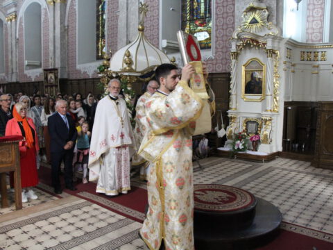 IMG_2828_resize_resize