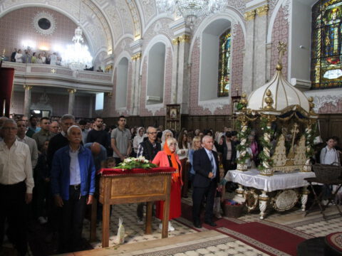 IMG_2833_resize_resize