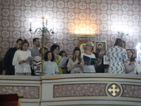 IMG_2839_resize_resize