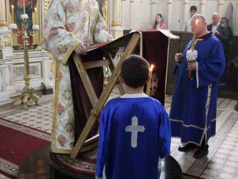 IMG_2851_resize_resize