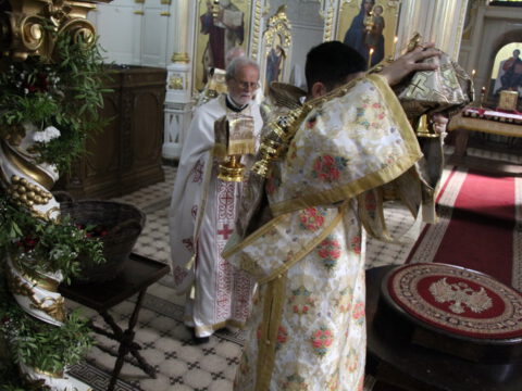 IMG_2864_resize_resize