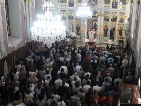 IMG_2881_resize_resize