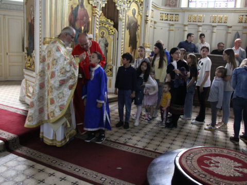 IMG_2890_resize_resize