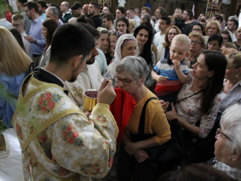 IMG_2901_resize_resize