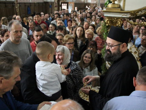 IMG_2920_resize_resize