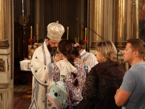 IMG_6780_resize