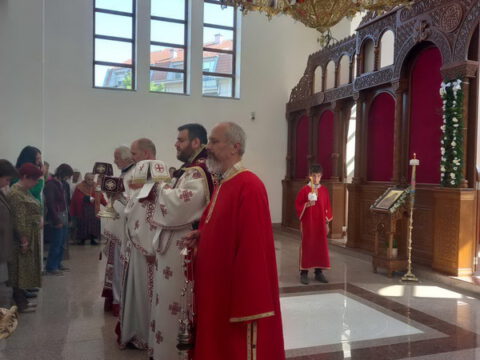 e6e8cc4d-a866-45c9-b863-0c619a0acc78_resize