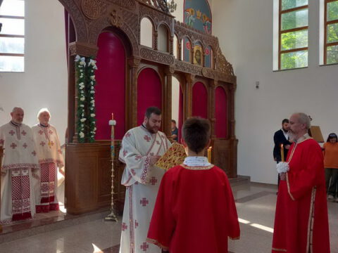 efd347db-2f18-468f-9664-6edfba96dc86_resize