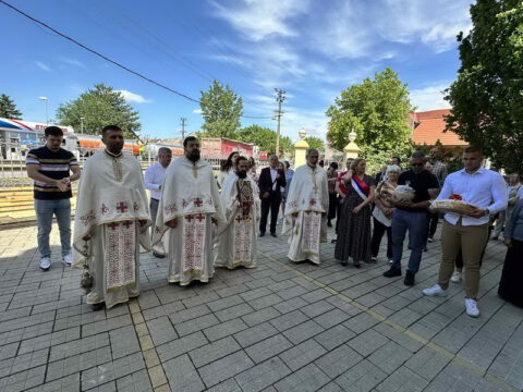 слика 11_resize