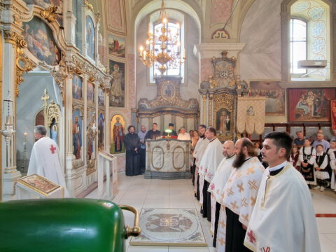 слика 13_resize