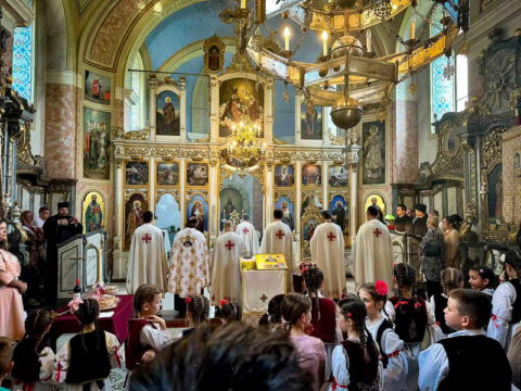 слика 18_resize