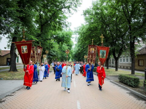 0H5A5391_resize_resize