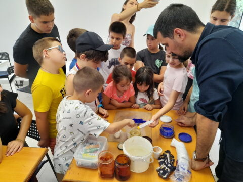 20240616_131925_resize