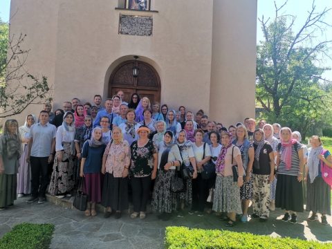 IMG_20240608_105916_resize