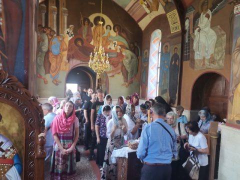 IMG_20240608_110751_resize