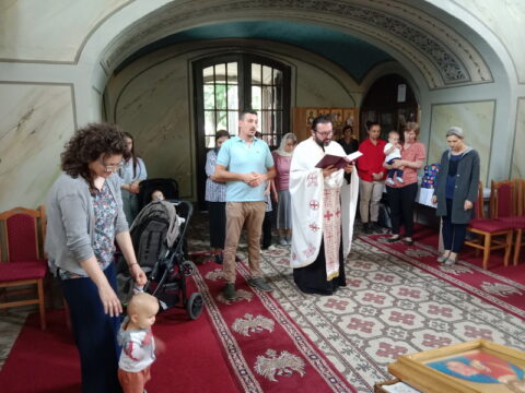 IMG_20240612_172427_resize