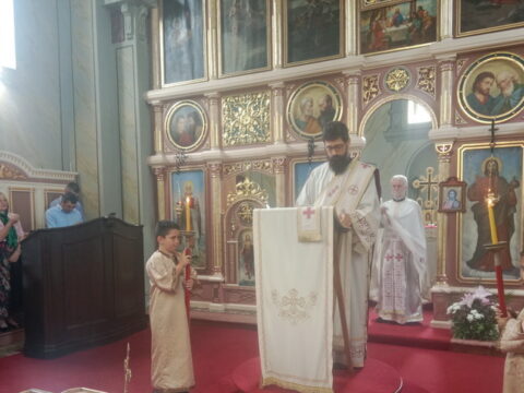 IMG_20240613_092533_resize