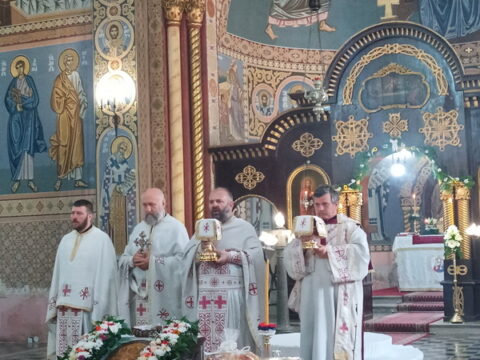 IMG_20240613_094007_resize