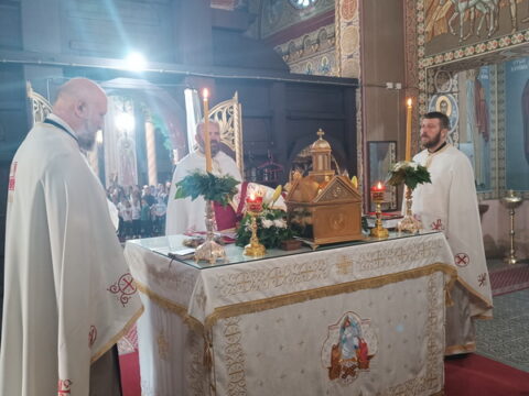 IMG_20240613_094234_resize