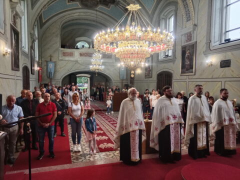 IMG_20240613_171534_resize