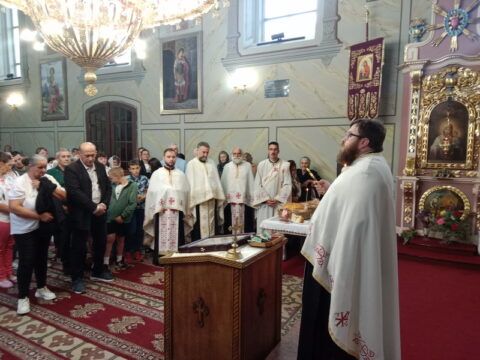 IMG_20240613_173813_resize