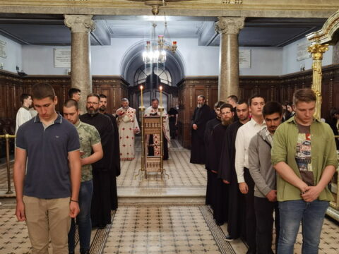 IMG_20240613_213225_resize