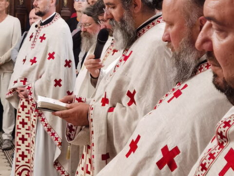 IMG_20240614_011306_resize