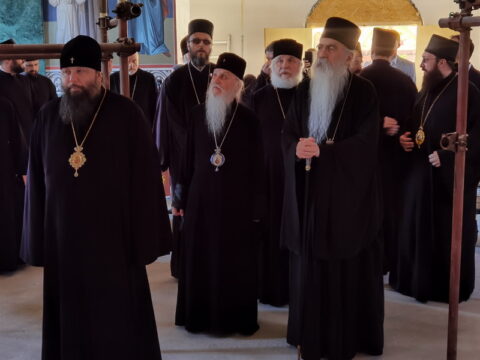 IMG_20240615_124018_resize