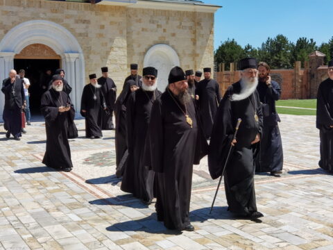 IMG_20240615_124651_resize