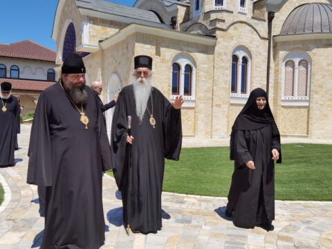 IMG_20240615_125201_resize