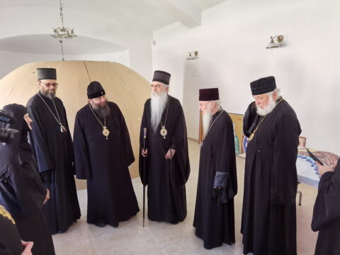 IMG_20240615_125323_resize