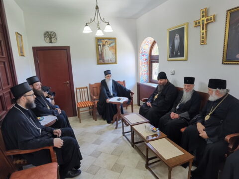 IMG_20240615_130935_resize