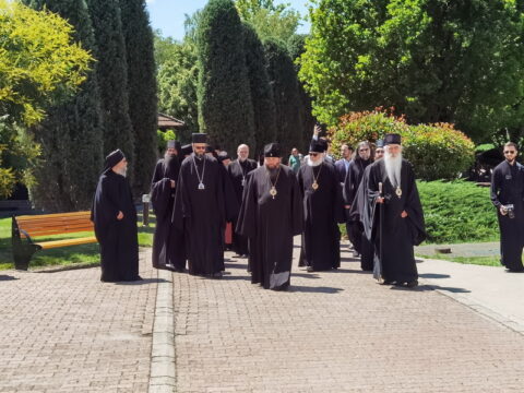 IMG_20240615_134459_resize