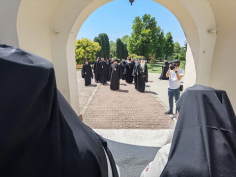 IMG_20240615_134515_resize