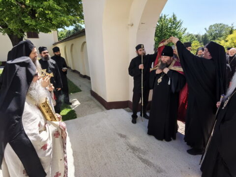 IMG_20240615_134542_resize