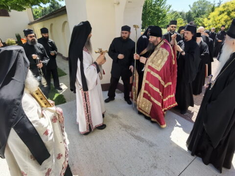 IMG_20240615_134547_resize