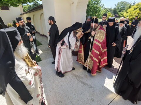 IMG_20240615_134548_resize