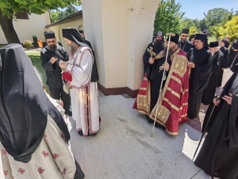 IMG_20240615_134551_resize