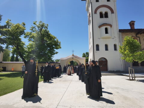 IMG_20240615_134608_resize