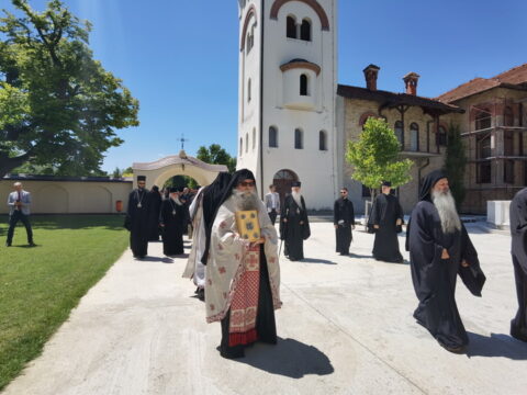 IMG_20240615_134632_resize