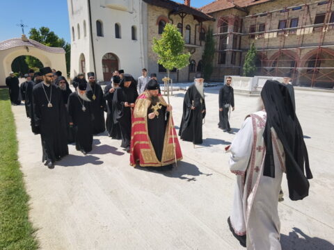 IMG_20240615_134638_resize