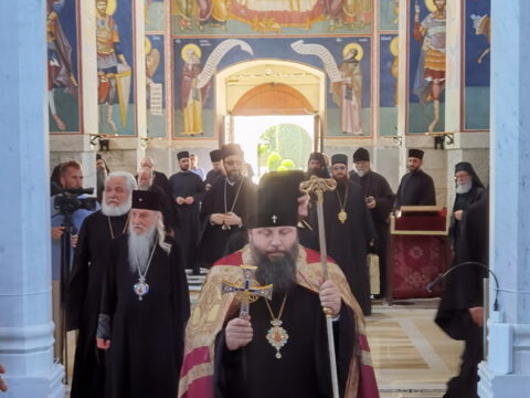 IMG_20240615_134850_resize