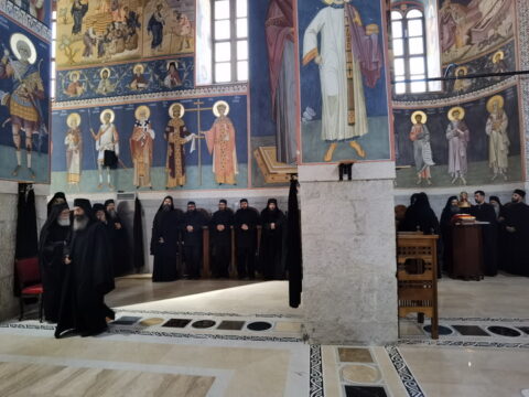 IMG_20240615_135136_resize