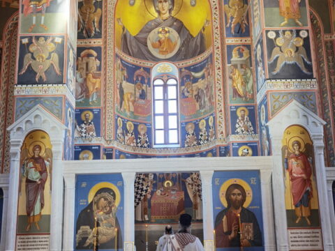 IMG_20240615_135313_resize