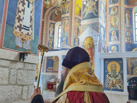 IMG_20240615_135345_resize