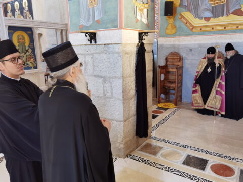 IMG_20240615_140030_resize