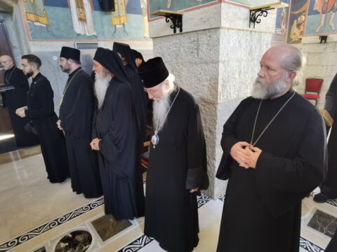 IMG_20240615_140731_resize