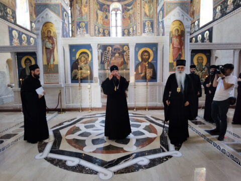 IMG_20240615_141300_resize